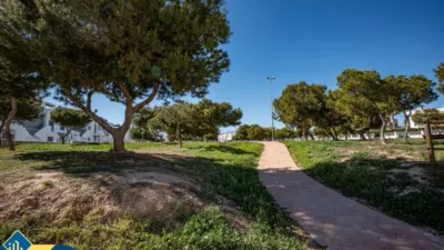 House in Los Balcones-Los Altos-Punta Prima photo 35