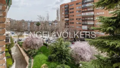 Apartment in Estrella photo 23