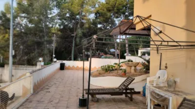 Chalet in Pinar de Campoverde photo 10