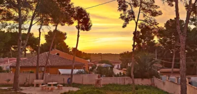 Chalet in Pinar de Campoverde photo 11