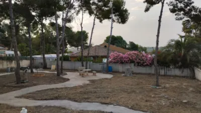 Chalet in Pinar de Campoverde photo 5