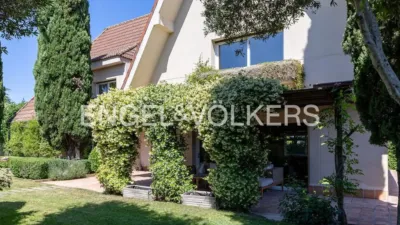 House in Monte del Pilar Area photo 49