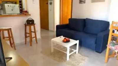 Apartment in Acequión-Los Naúfragos photo 4