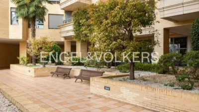 Piso en alquiler en Penya-Roja - Imagen 26