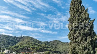 Casa en Cabrera de Mar photo 48
