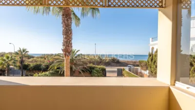House in Isla de Canela photo 10