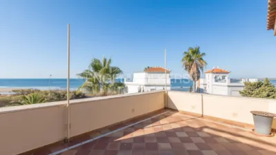 House in Isla de Canela photo 24