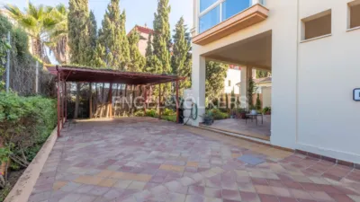 House in Isla de Canela photo 44