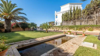 House in Isla de Canela photo 46