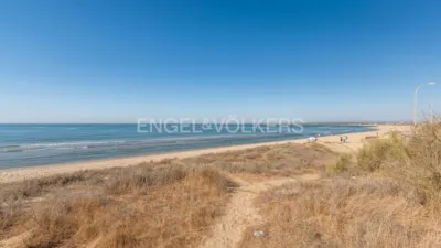 House in Isla de Canela photo 48