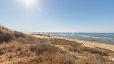 House in Isla de Canela photo 49