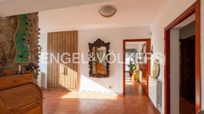 House in Carlos Ruiz photo 10