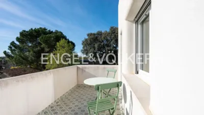 House in Carlos Ruiz photo 14