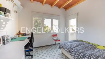 House in Carlos Ruiz photo 18