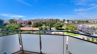 Pis – Torrevieja - Vista 5