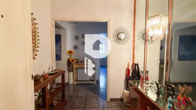 House in Sant Vicenç dels Horts photo 39