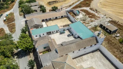 House in Osuna photo 48