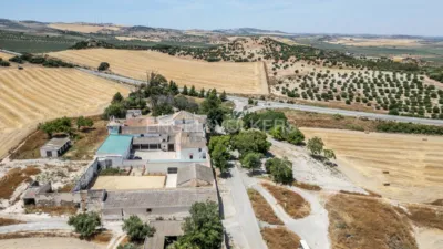 House in Osuna photo 50