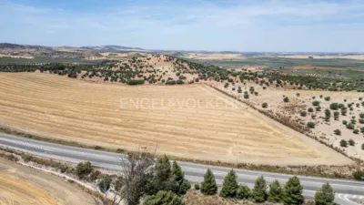 House in Osuna photo 53