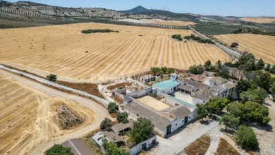 House in Osuna photo 57