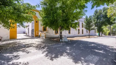 House in Osuna photo 5