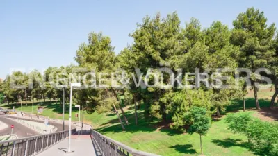 Apartment in La Estrella photo 17