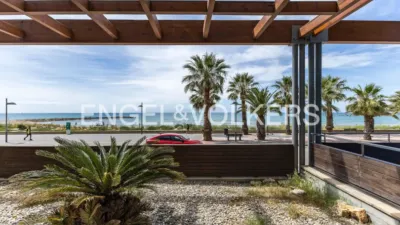 Apartment in Les Salines-Clot del Bassó-Mota de Sant Pere photo 4