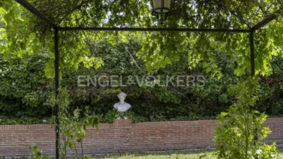 House in El Pardo photo 65