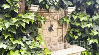 House in El Pardo photo 66
