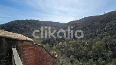 Casa en Castellfollit de la Roca photo 18