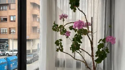Apartment in Plaza de Somovilla photo 15