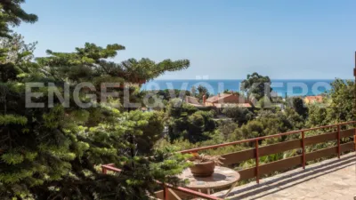 House in Santa Susanna photo 37