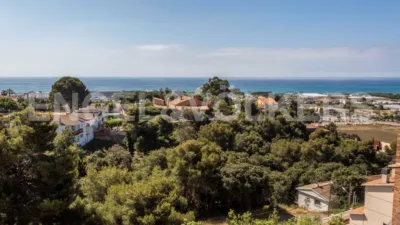 House in Santa Susanna photo 38
