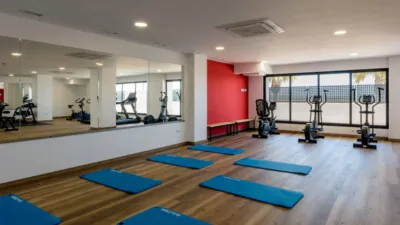Penthouse on Avenida Anda Jaleo photo 14