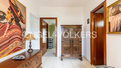 House in Bellamar photo 13