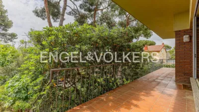 House in Bellamar photo 39
