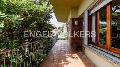House in Bellamar photo 40