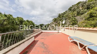 House in Bellamar photo 45