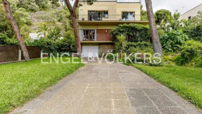 House in Bellamar photo 4