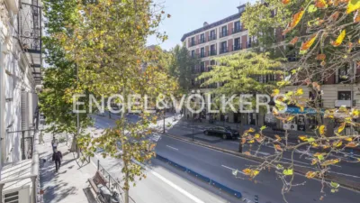 Piso en alquiler en Trafalgar - Imagen 24