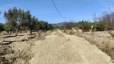Chalet in Castalla photo 14