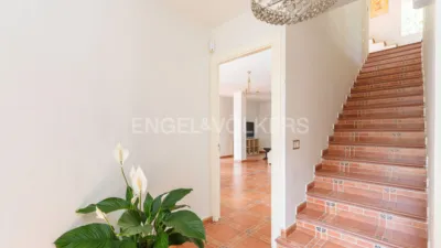 House in Valdemorillo photo 28