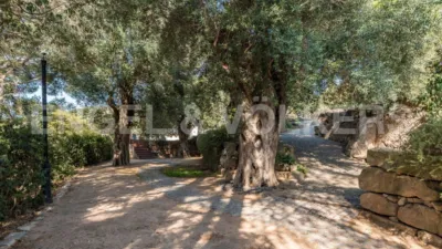 Chalet in Cabrera de Mar photo 18