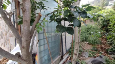 House on Carrer Major, 333 photo 5