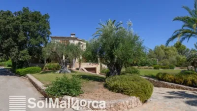 Rustic House in Pollença photo 24