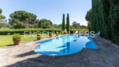 Villa in Monte del Pilar Area photo 2