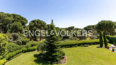 Villa in Monte del Pilar Area photo 66