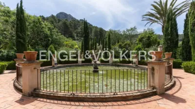 Rustic property in Penàguila photo 69