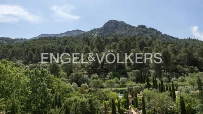 Rustic property in Penàguila photo 83