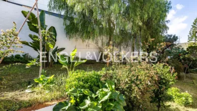 House in Montmar photo 35